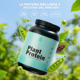 Plant Protein